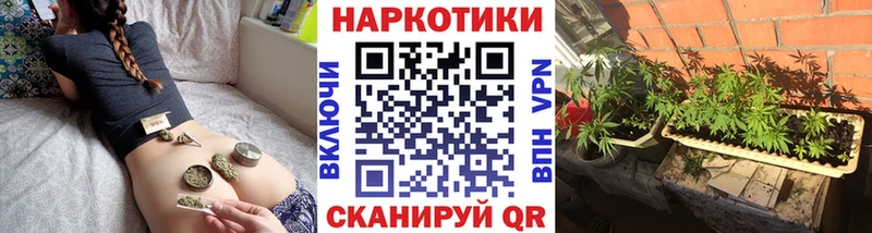 Где купить Феодосия Галлюциногенные грибы  ГАШИШ  Alpha PVP  АМФЕТАМИН 