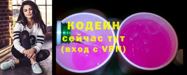 стаф Краснослободск