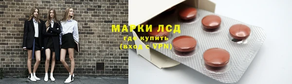 стаф Краснослободск