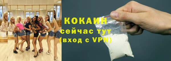 хмурый Нея