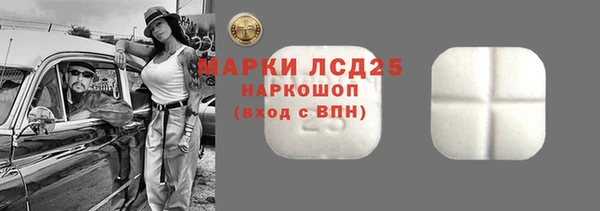 стаф Краснослободск