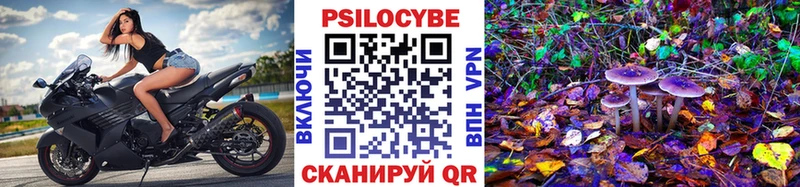 Псилоцибиновые грибы мухоморы  купить закладку  Феодосия 