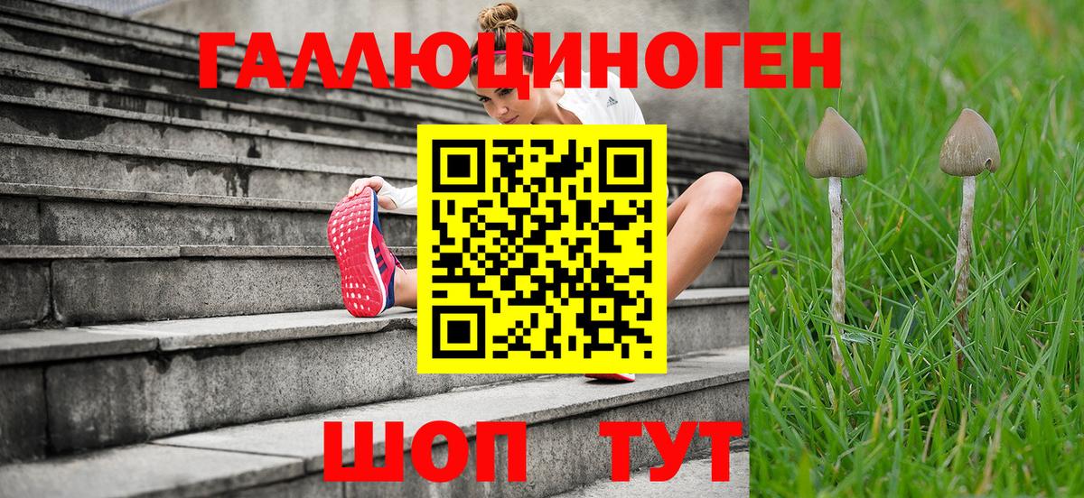 Феодосия  Галлюциногенные грибы Psilocybine cubensis  Вход с VPN  Псилоцибиновые грибы ЛСД 